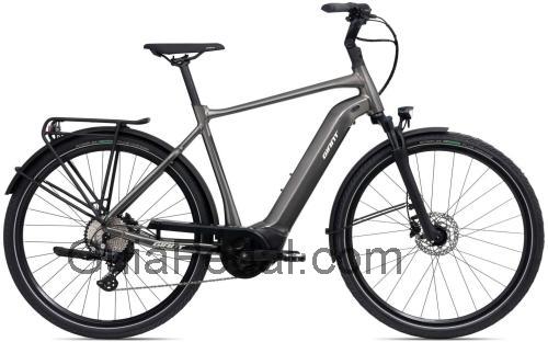 Giant DailyTour E+ 3 ficha técnica y opiniones